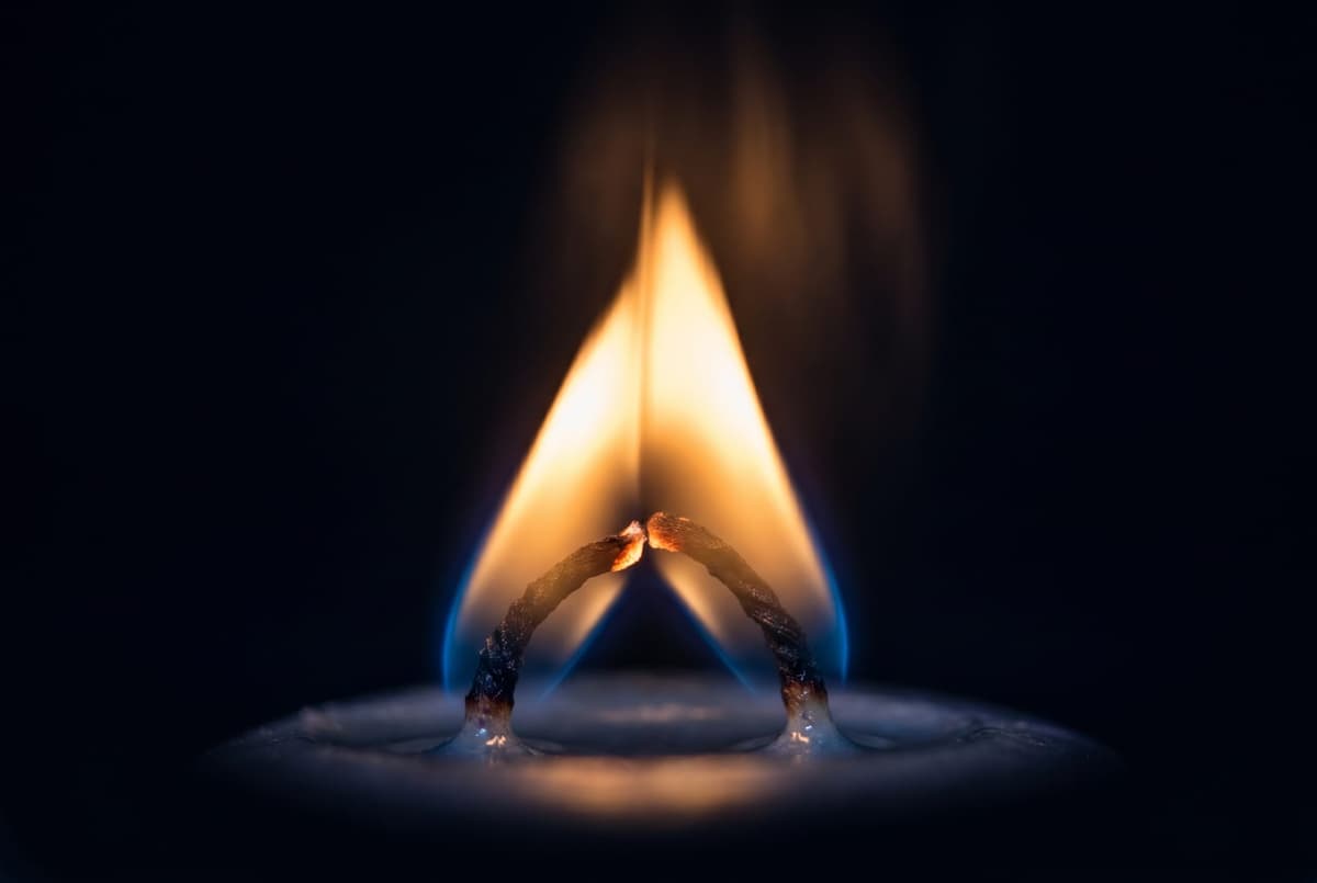 Conjunction — symbolic still life
