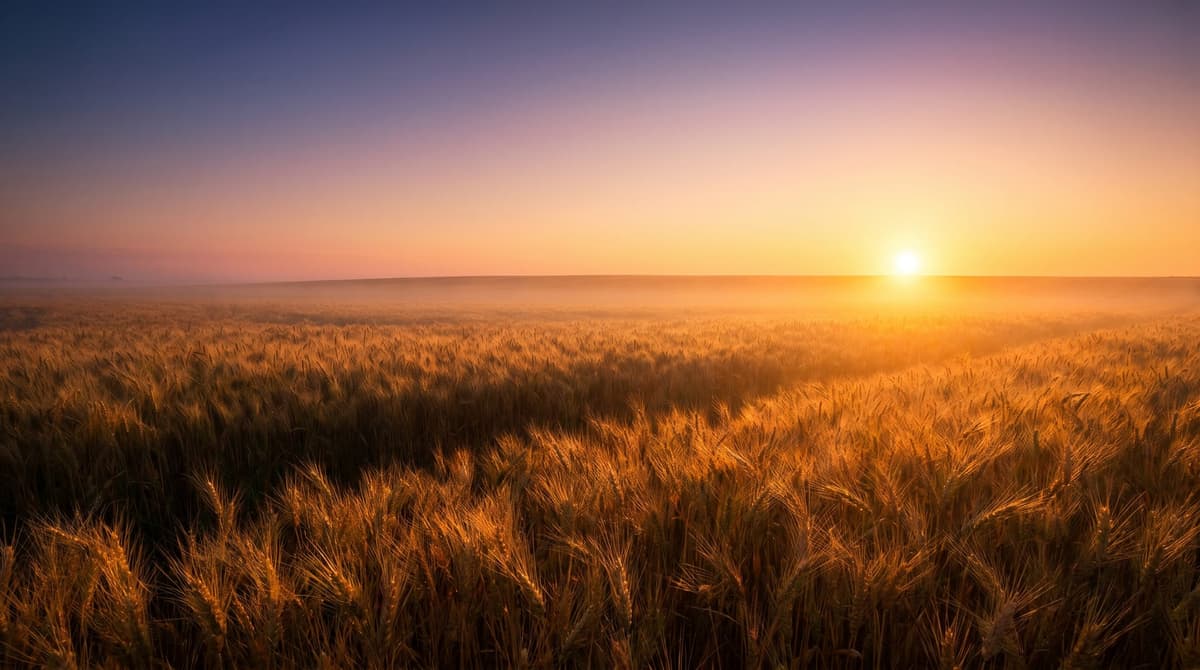 Sun — symbolic illustration