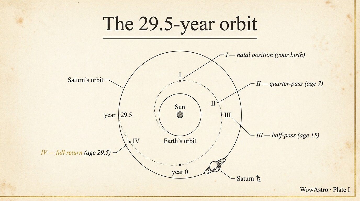 Editorial orbital diagram showing Saturn's path around the Sun with two labelled points: "natal Saturn at birth" and "Saturn return ~29.5 years later", warm-navy palette